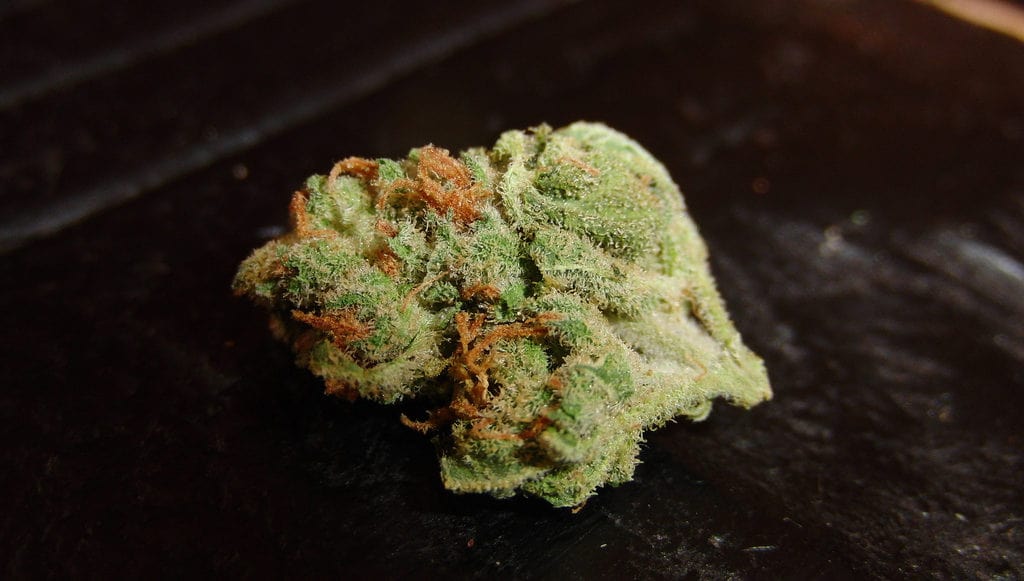 Is Marijuana Legalization the Answer to Medicaid's Costs | HealthCare.com