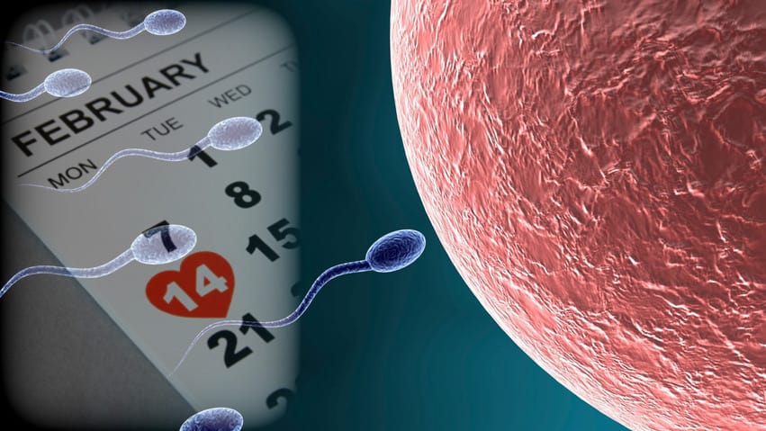 planning pregnancy costs sex on valentine’s day