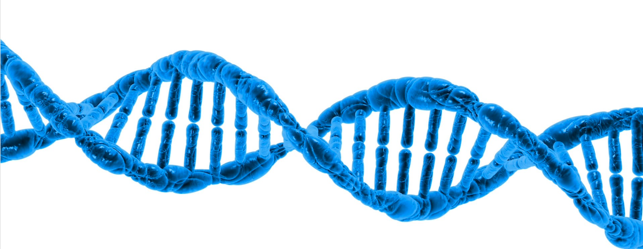 dna helix | genetic discrimination